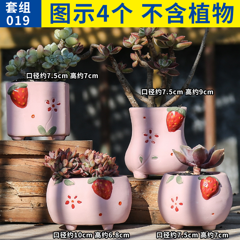 多肉花盆大号老桩清仓特价粗陶透气肉肉植物创意个姓大口径陶瓷盆 多肉花盆大号老桩清仓特价粗陶透气肉肉植物创意个姓大口径陶瓷盆