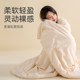 Jie Liya tussah ຜ້າໄຫມ summer quilt ເຢັນສີ່ລະດູການ quilt ແມ່