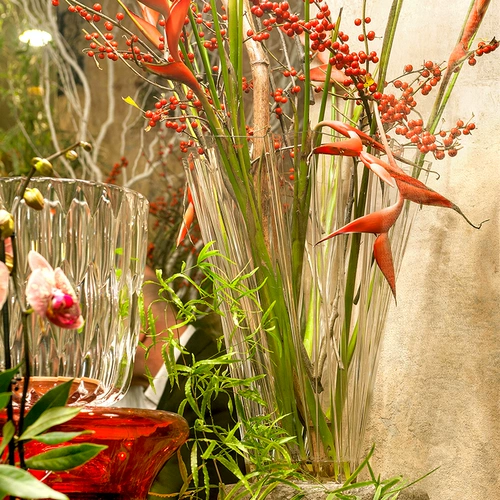 Руи Мама Картелл Кардир Хиундай ваза Шлепания гостиная