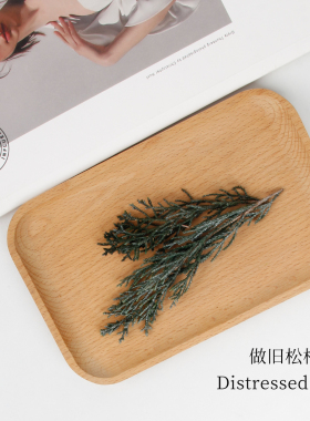 永生花干花diy圣诞材料包鹿角松松柏侧柏松枝松针植物装饰摆件