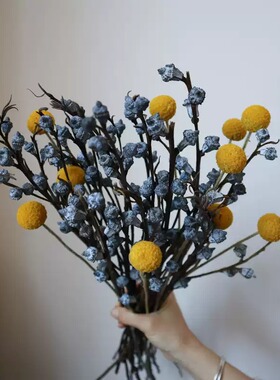 天然尤加利果黄金球长枝干花花束客厅摆设高级感复古树枝家居装饰