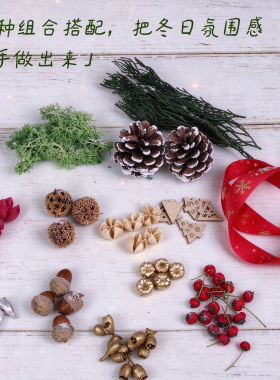 干花干果松果松柏材料包手工diy圣诞桌面花环装饰摆件氛围布置