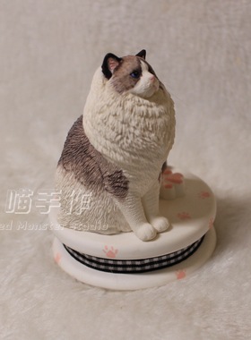 猫咪布偶猫石膏摆件挪车牌纯手工