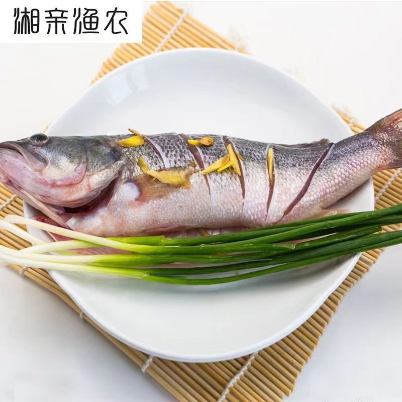 鲈鱼新鲜淡水鱼河鲈鲜活免处理清蒸开背整条水产鲈鱼整箱商用顺丰,淘宝优惠券,粉丝福利购,淘宝优惠卷