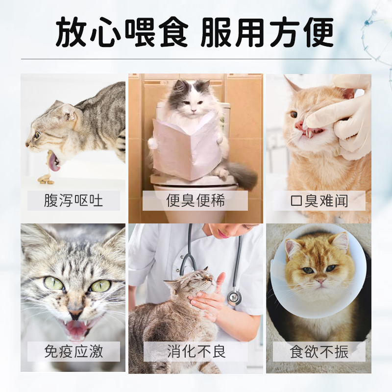 小宠猫咪益生菌牛磺酸幼猫调理猫肠胃猫用软便呕吐拉稀肠胃宝宠物 - 图2