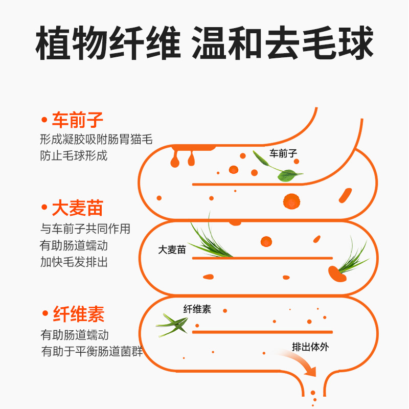 麦富迪小橙帽冻干化毛球片猫草片卵磷脂猫咪维生素化毛膏猫咪宠物-图0