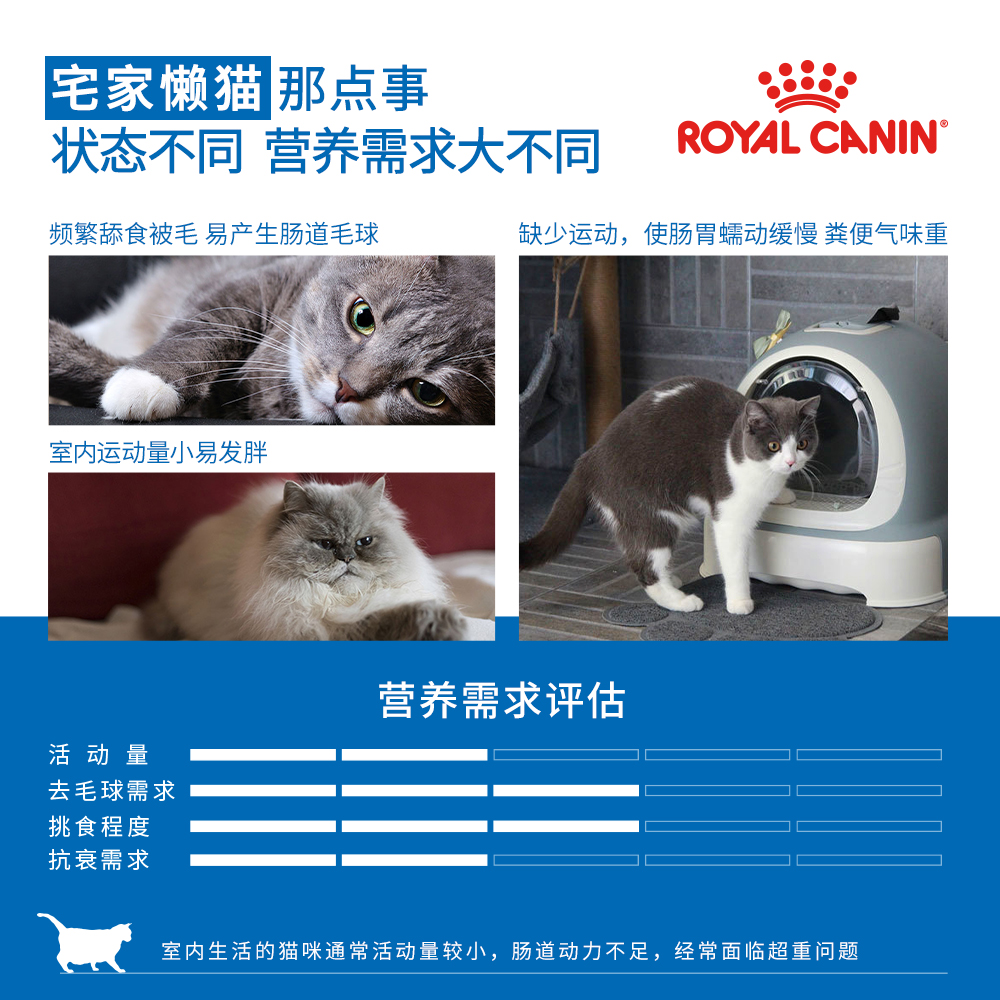 皇家猫粮I27品牌官方室内成猫1.5/2kg英短蓝猫布偶专用营养猫主粮 - 图1