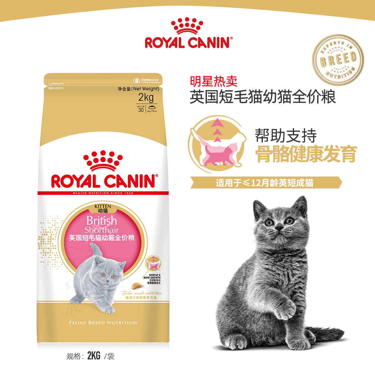 皇家英短专用幼猫粮BSK38蓝猫银渐层猫奶糕奶猫粮官方授权旗舰店-图1