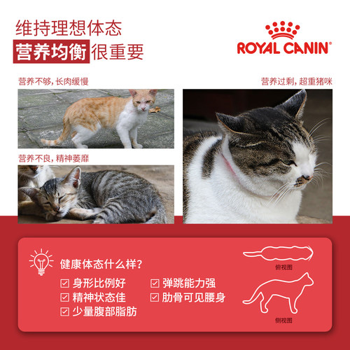 皇家猫粮10kg公斤F32猫咪I27室内成猫粮英短美短官方授权旗舰店 - 图2