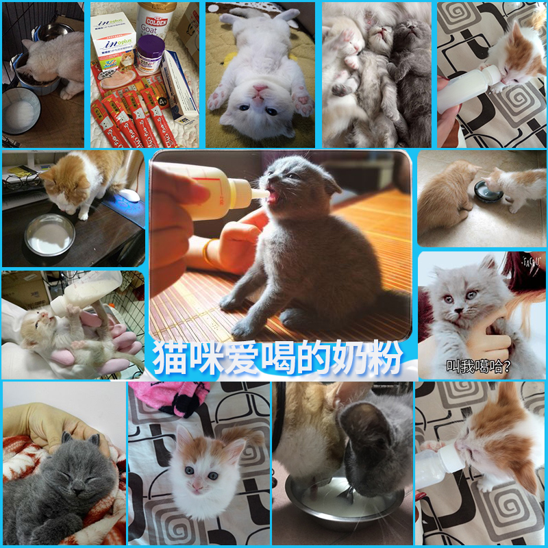 谷登羊奶粉猫咪专用猫奶粉孕乳母猫幼猫小奶猫喝的补钙宠物营养品 - 图3