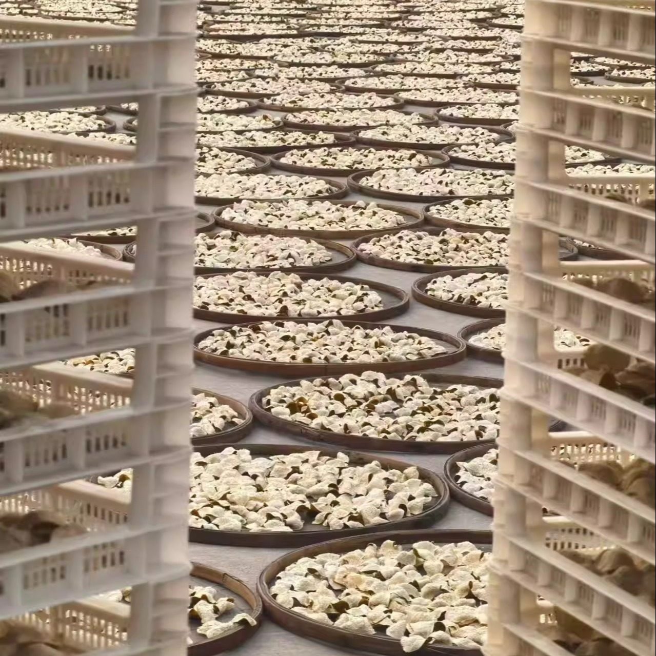 2025年新会茶坑冬后大红新皮 自然生晒柑香甜润 正宗陈皮陈皮茶坑,淘宝优惠券,粉丝福利购,淘宝优惠卷