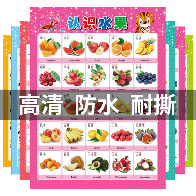 Silent Puzzle Twelve Zodiac Car Signs Wall Chart