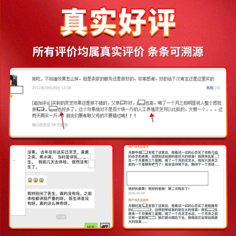 西藏野生桑黄灵芝特级正宗金边云南桑黄林芝特产整枝整朵切刀正品 - 图0