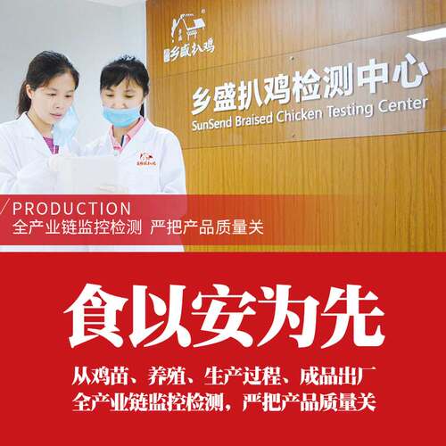 乡盛扒鸡德州正宗五香烧鸡特产肉食熟食真空即食零食美食地方小吃 - 图1