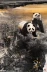 Su thêu DIY kit kit Panda rest 35CM * 50CM di chuyển nhiều hình ảnh tùy chọn Giang Tô Chiết Giang và An Huy - Bộ dụng cụ thêu