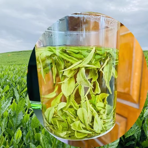 现货2024年新茶珍稀白茶 雨前浙江白茶春茶 散装绿茶茶农直销包邮