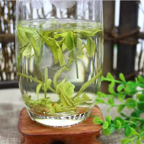 白茶2026年白茶新茶250克 高山雨前茶农直销 珍稀白绿茶春茶散装 - 图3