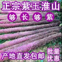 Guangxi Tutei Purple Jade Huai Mountain Purple Yam Home Hotel Saucepan Soup Ingredients Farmhouse Specialty Foods