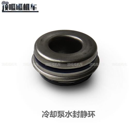 隆鑫无极300R/300RR冷却泵水封静环动环叶轮无极300发动机原车件 - 图2