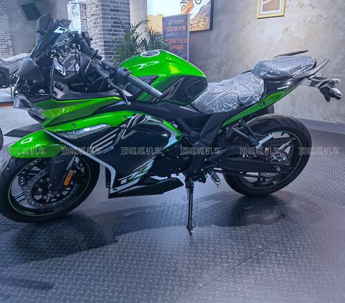 无极300R/300RR电子燃油泵隆鑫LX300-6A/F/LX300GS-B/D原车配件 - 图2