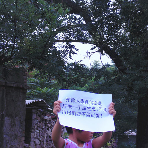 野生槐角中药材槐实 国槐槐豆 槐连豆槐子槐实膏槐角丸槐米茶原料 - 图2