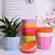 Resin petal pot plastic thickened imitation ceramic colorful resin pumpkin round creative succulent small flower pot with tray