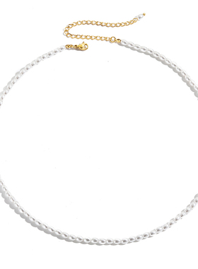 复古小众椭圆形珍珠项链仿珍珠流苏项链锁骨链女简约钛钢项饰