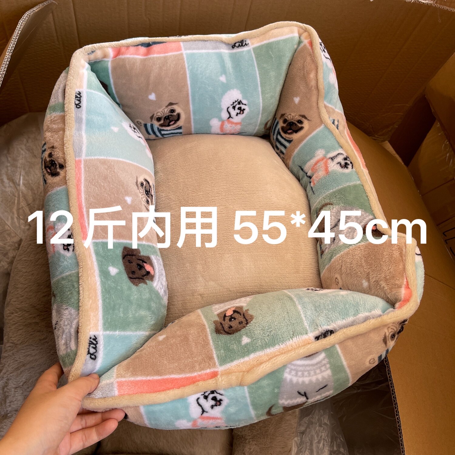 图5