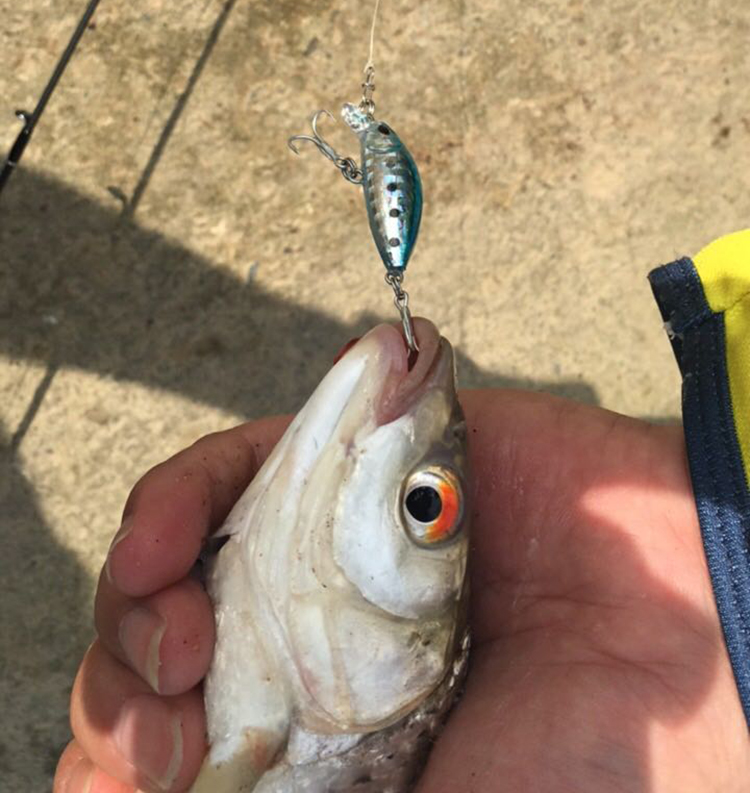 小米诺迷你小路亚饵沉水米诺马口鳟鳜鱼翘嘴鱼鲈鱼微物假饵-图0