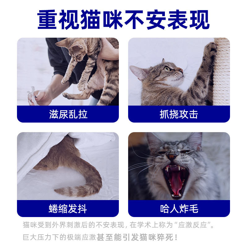 喵君小壳费乐舒猫咪信息素补充宠物保健缓解情绪补充剂安抚应激-图0