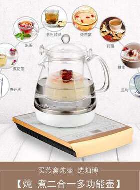 专用燕窝机全自动养生壶隔水炖