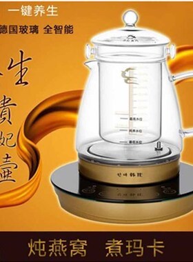 隔水炖盅玻璃内胆壶体壶盖电炖杯