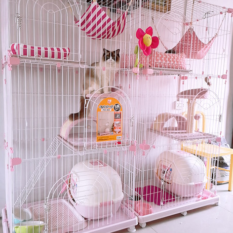 iris cat cage
