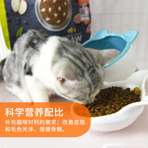 百利猫粮经典高蛋白生鲜无谷鸡肉成猫幼猫冻干全猫粮营养增肥11磅 - 图1