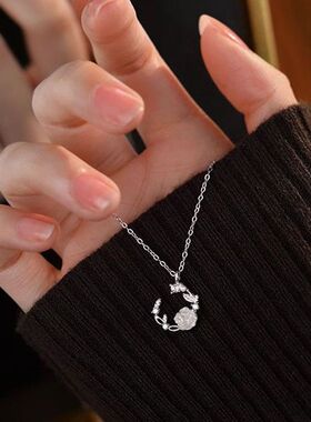 女气质锁骨风首饰小红书项链链