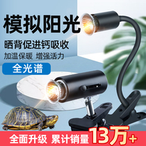 Turtle Sun Back Light Supplies Uvb Lamp Heating Light Uva Lamp Uva Climbing Spotting Light Ceramic Full Spectrum Sunlamp Pets