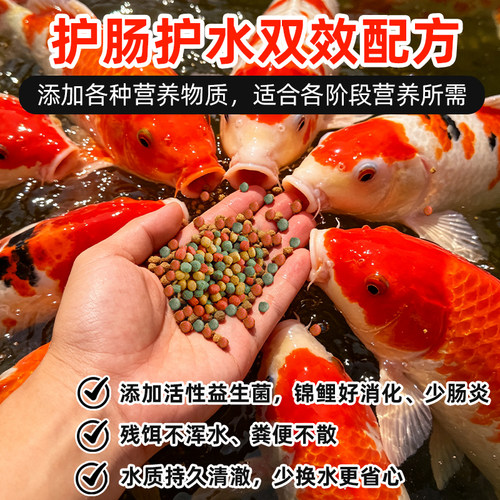 亚峰锦鲤鱼饲料鱼食金鱼小颗粒鱼粮家用鱼料专用观赏鱼小型鲤鱼 - 图1