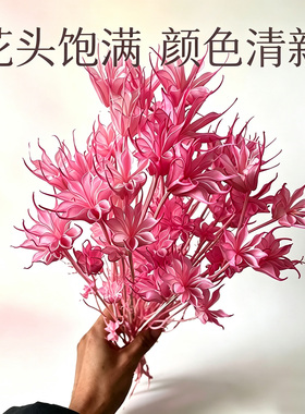 长枝八角花干花束风干装饰真花束