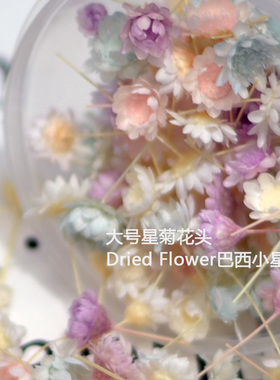 小星花干花包星菊材料包无杆花头