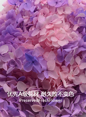 永生花绣球安娜渐变色A级小叶