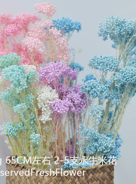 米花干包永生花束手工浮油花材料