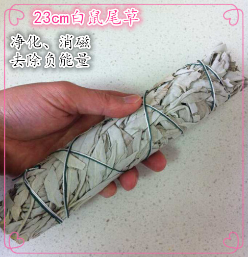 美國加州白鼠尾草長23cm葉捆大捆裝優質淨化專用冥想除房間負能量