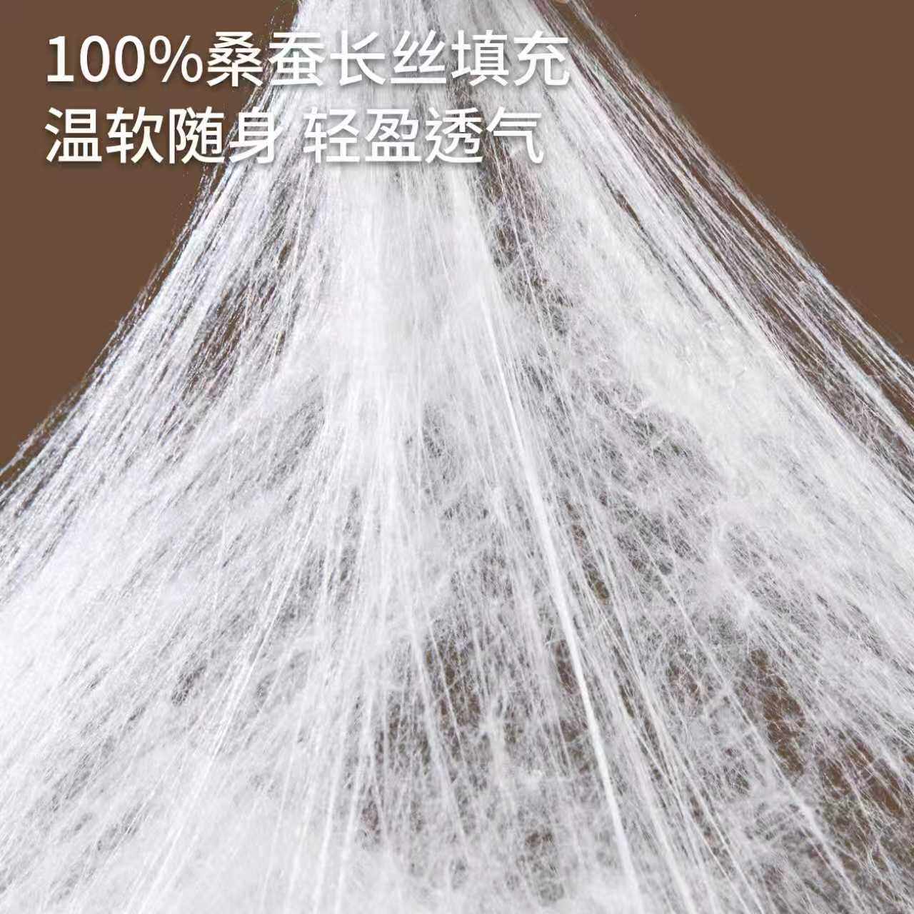 桐乡蚕丝被100桑蚕丝被子春秋被冬被加厚保暖子母被四季通用被芯,淘宝优惠券,粉丝福利购,淘宝优惠卷