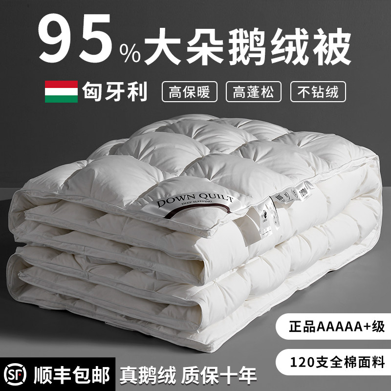 匈牙利正品羽绒被95白鹅绒五星级酒店春秋被加厚保暖被芯被子冬被,淘宝优惠券,粉丝福利购,淘宝优惠卷