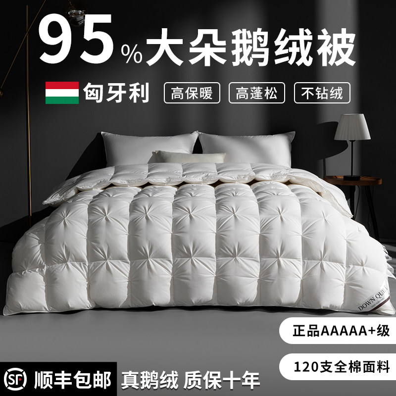 匈牙利正品羽绒被95白鹅绒五星级酒店春秋被加厚保暖被芯被子冬被,淘宝优惠券,粉丝福利购,淘宝优惠卷