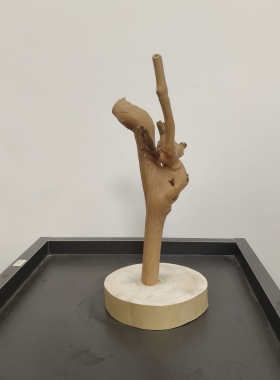 干树枝摆件装饰天然树干枯木造景树杈支架展示架文玩挂架子造型放