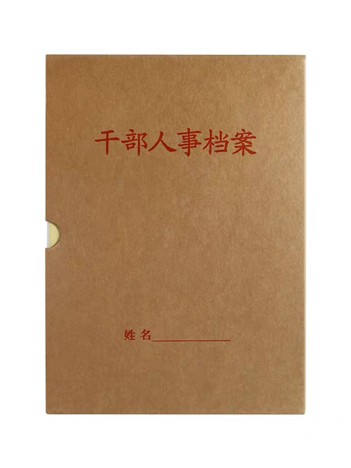 人事档案盒干部人事档案盒纸制板簧无需打孔蛇簧新标准文件收纳盒 - 图3