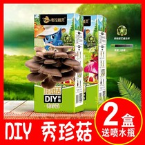 Kindergarten Diy Corra Elf Mushroom Bag Show Rare Mushrooms Family Children Growing Bacteria Edible Mushrooms Kits Seeds