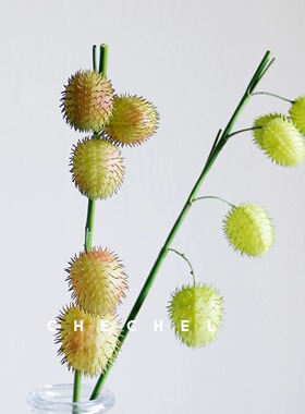 chechel 仿真唐棉果 河豚果个性小众美陈花艺花材样板房家居装饰
