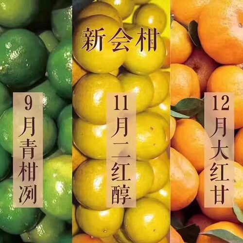 2023年2021年新会陈皮天马圈枝青皮二红皮大红皮 - 图2
